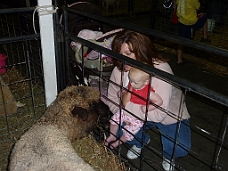 P1000011 New Animal Friend At Fair