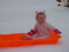 P1000304 A New Toboggan