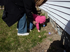 P1000376 Looking For Easter Eggs