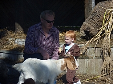 P1000791 Goats (Old and Young) With Emily