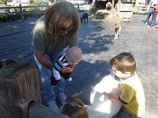 P1000796 Thomas Meets Goat