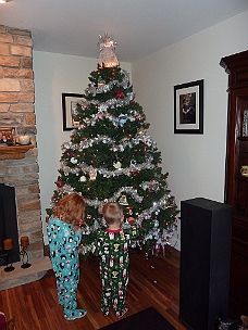 P1030019 Helping Decorate The Tree