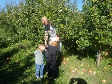 P1020720 Apple Picking In Granville, NY