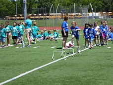 P1000561 Over The Hurdles