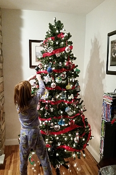 20161126_160428 Emily Trims Tree