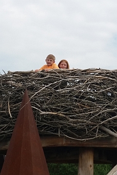 20170723_154825 Birds Nest Fledglings