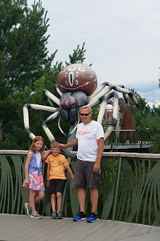 20170723_155025 The Large Spider