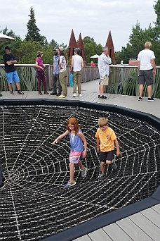 20170723_155052 And A Fun Spider's Web