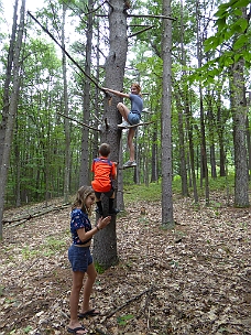 P1010866 Emily Climbs A Tree With Mason And Ava