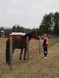 20200328_131824 Some Horse Friends