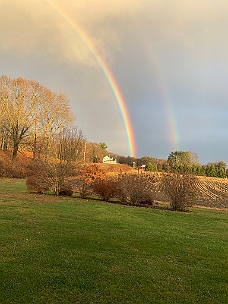 IMG_8199 November Rainbow 11-22-24